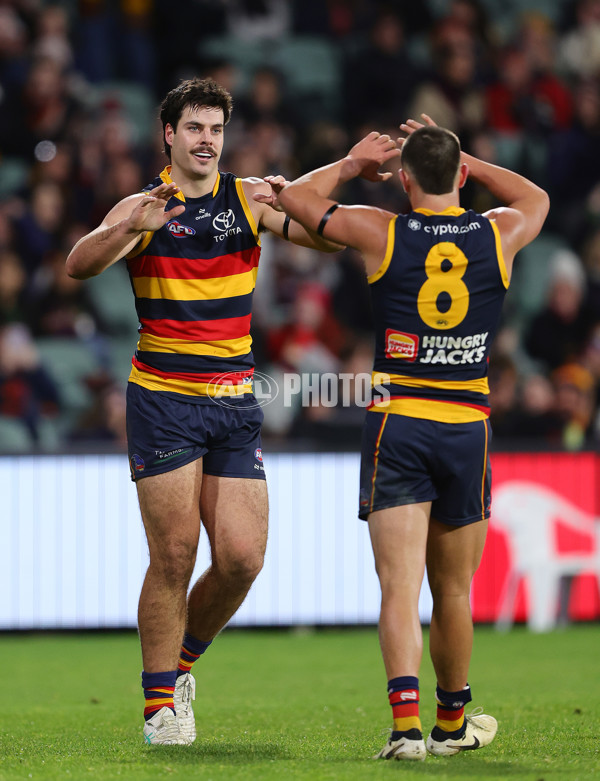 AFL 2024 Round 16 - Adelaide v GWS - A-51459413