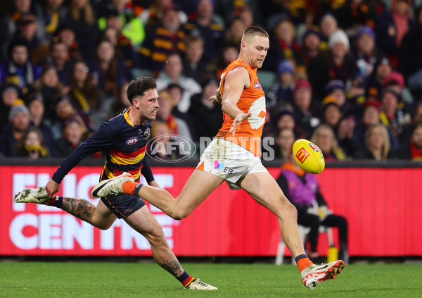 AFL 2024 Round 16 - Adelaide v GWS - A-51459421