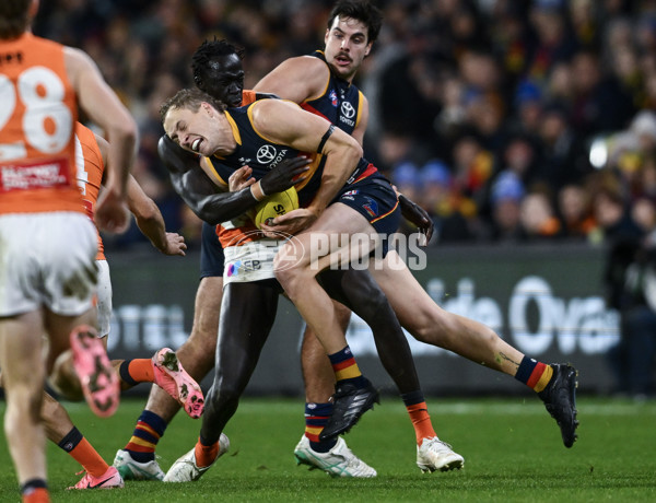 AFL 2024 Round 16 - Adelaide v GWS - A-51459432