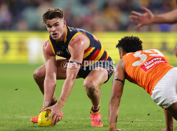 AFL 2024 Round 16 - Adelaide v GWS - A-51459446