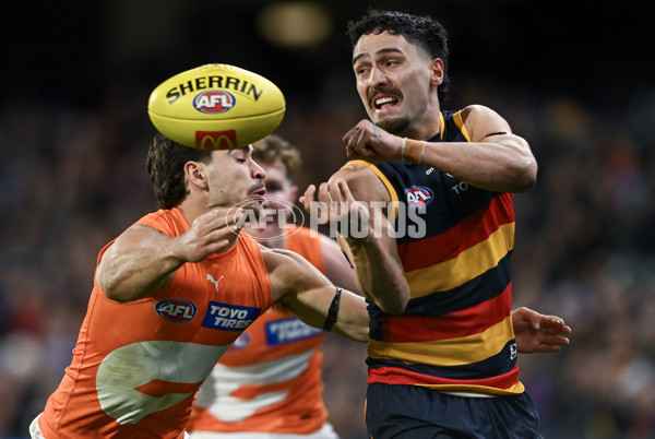 AFL 2024 Round 16 - Adelaide v GWS - A-51459447
