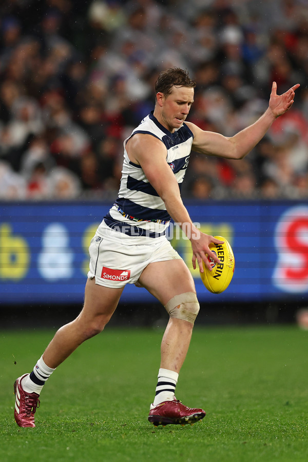 AFL 2024 Round 16 - Geelong v Essendon - A-51459455