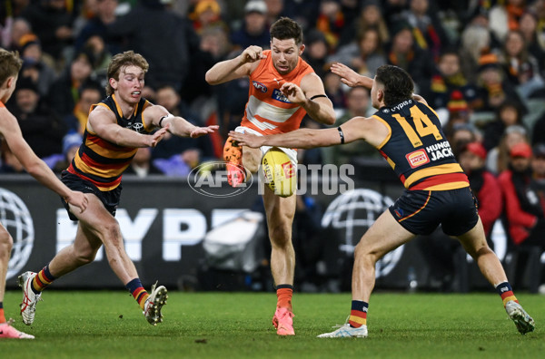 AFL 2024 Round 16 - Adelaide v GWS - A-51459457