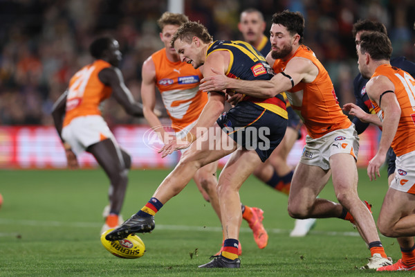 AFL 2024 Round 16 - Adelaide v GWS - A-51459478