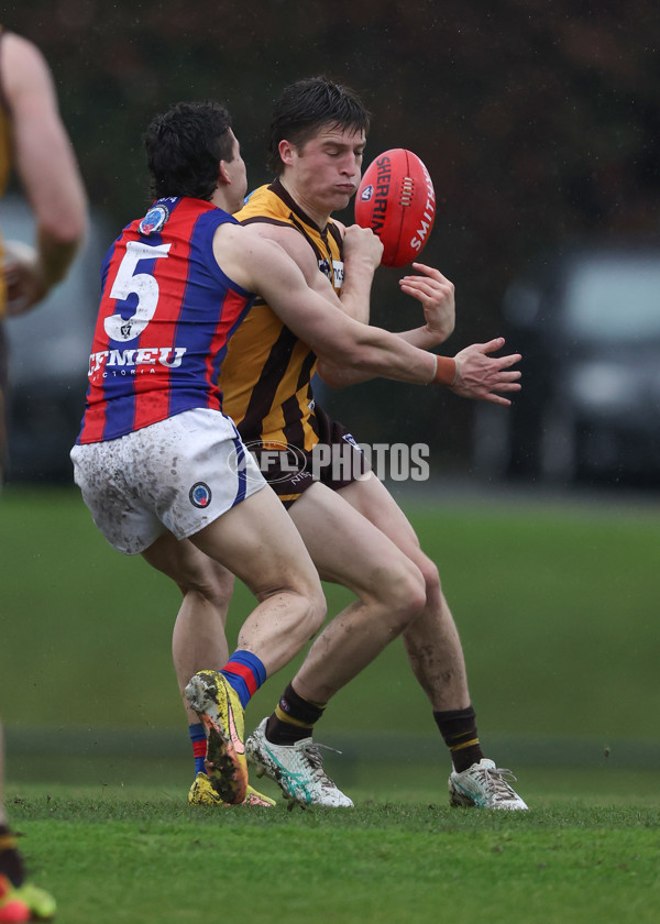 VFL 2024 Round 14 - Box Hill v Port Melbourne - A-51459485