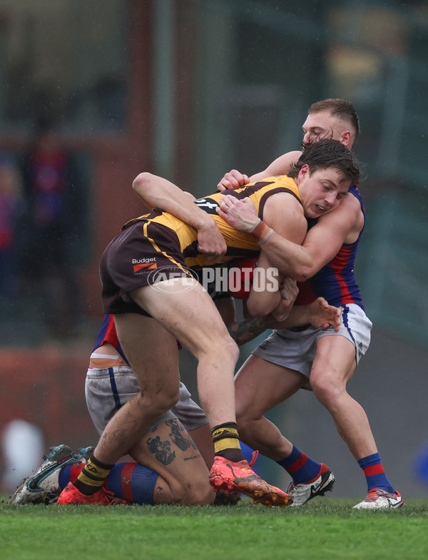 VFL 2024 Round 14 - Box Hill v Port Melbourne - A-51459488