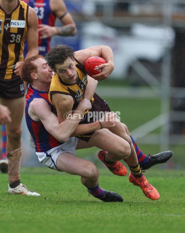 VFL 2024 Round 14 - Box Hill v Port Melbourne - A-51459489