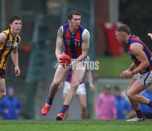 VFL 2024 Round 14 - Box Hill v Port Melbourne - A-51461147