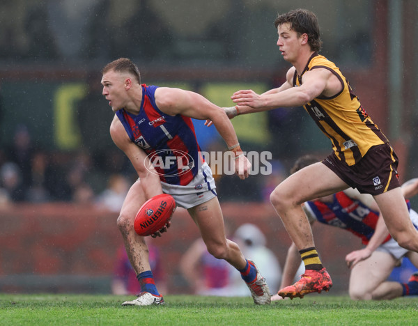 VFL 2024 Round 14 - Box Hill v Port Melbourne - A-51461149