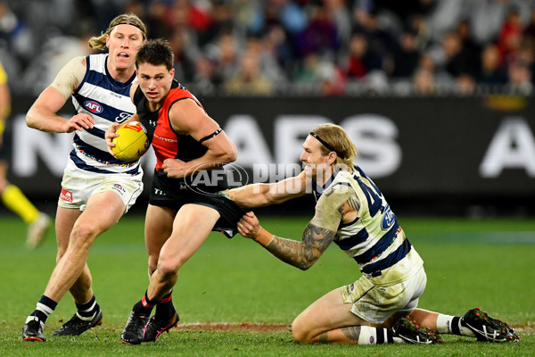 AFL 2024 Round 16 - Geelong v Essendon - A-51461161