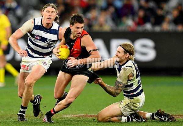 AFL 2024 Round 16 - Geelong v Essendon - A-51461162