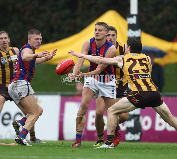 VFL 2024 Round 14 - Box Hill v Port Melbourne - A-51461175