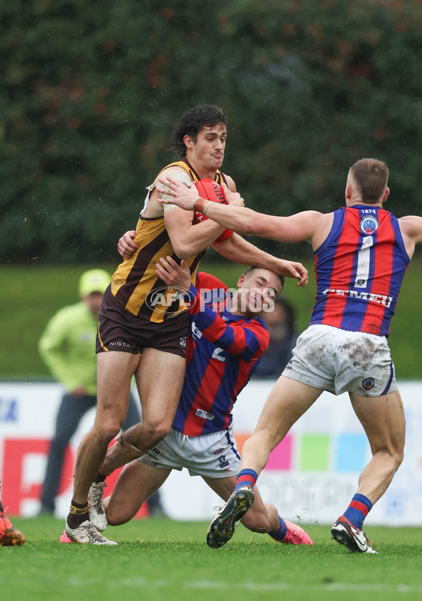 VFL 2024 Round 14 - Box Hill v Port Melbourne - A-51461178