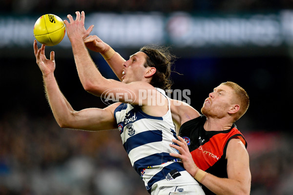 AFL 2024 Round 16 - Geelong v Essendon - A-51461184