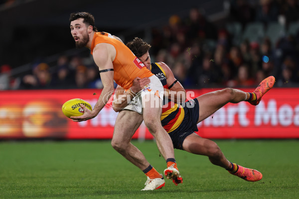 AFL 2024 Round 16 - Adelaide v GWS - A-51462035