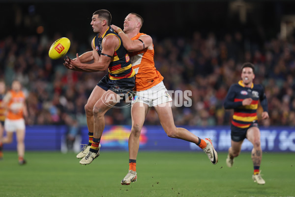 AFL 2024 Round 16 - Adelaide v GWS - A-51462053