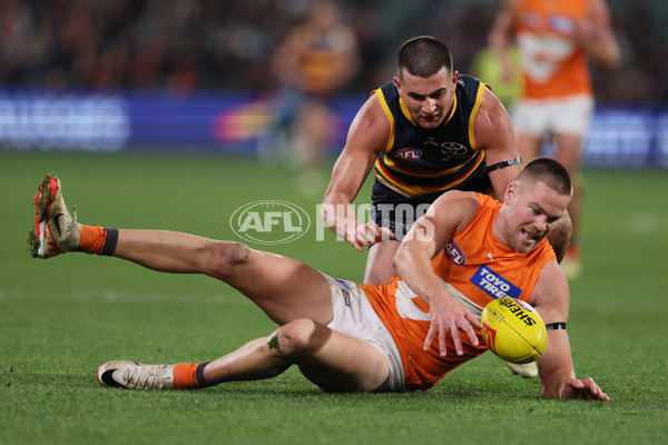 AFL 2024 Round 16 - Adelaide v GWS - A-51462056
