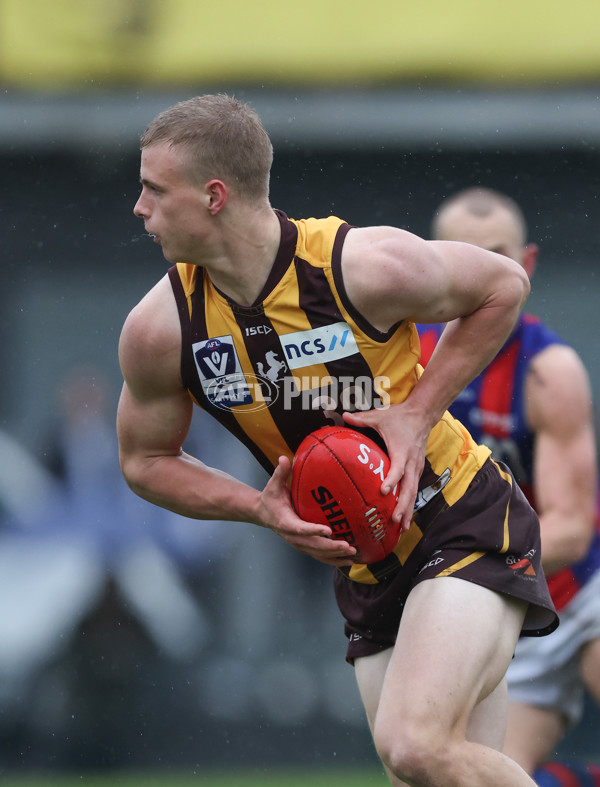 VFL 2024 Round 14 - Box Hill v Port Melbourne - A-51462062