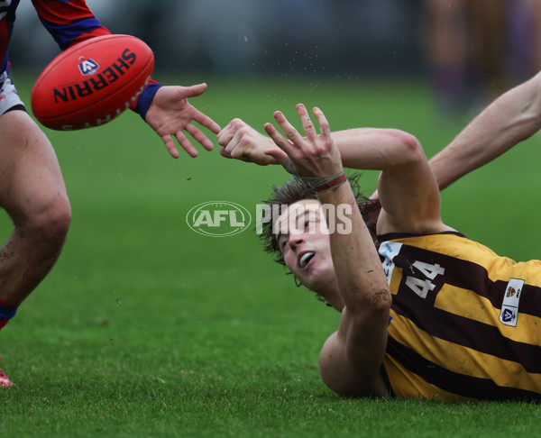 VFL 2024 Round 14 - Box Hill v Port Melbourne - A-51462063