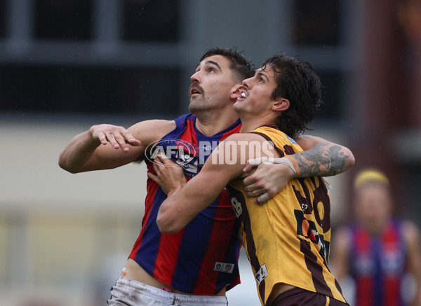 VFL 2024 Round 14 - Box Hill v Port Melbourne - A-51462064