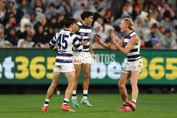 AFL 2024 Round 16 - Geelong v Essendon - A-51462077