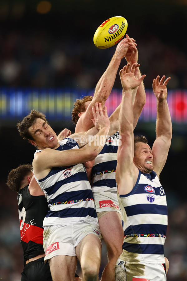 AFL 2024 Round 16 - Geelong v Essendon - A-51462079