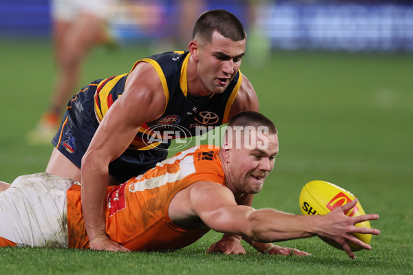 AFL 2024 Round 16 - Adelaide v GWS - A-51462100