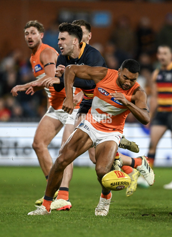 AFL 2024 Round 16 - Adelaide v GWS - A-51462107