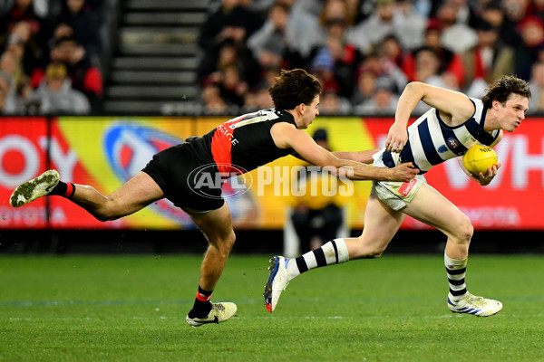 AFL 2024 Round 16 - Geelong v Essendon - A-51462116