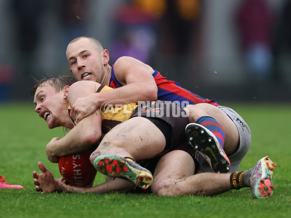 VFL 2024 Round 14 - Box Hill v Port Melbourne - A-51463953