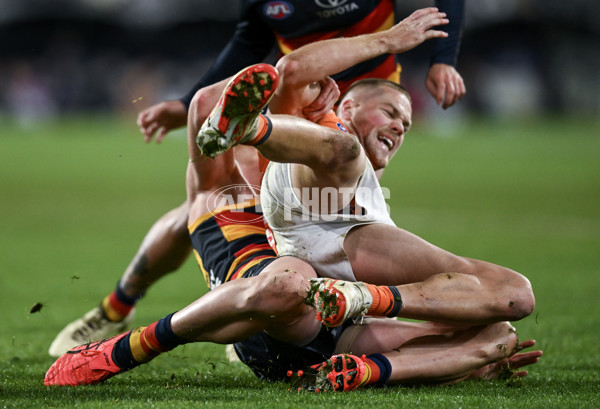 AFL 2024 Round 16 - Adelaide v GWS - A-51463963