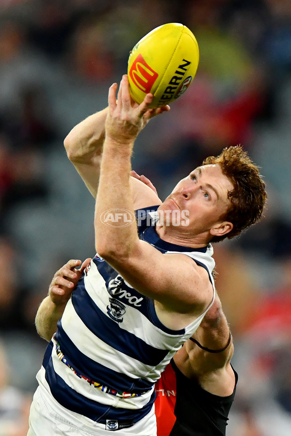 AFL 2024 Round 16 - Geelong v Essendon - A-51463969