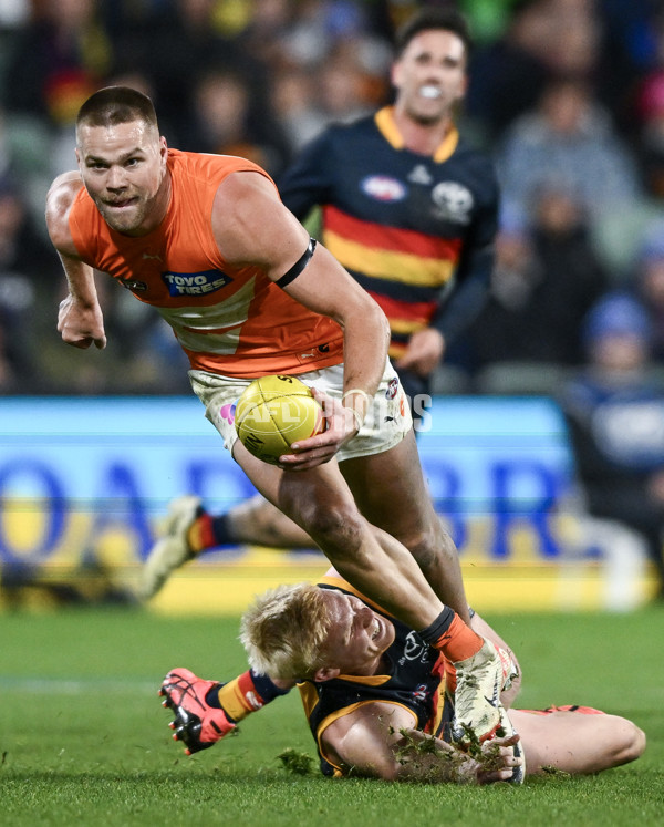AFL 2024 Round 16 - Adelaide v GWS - A-51463971