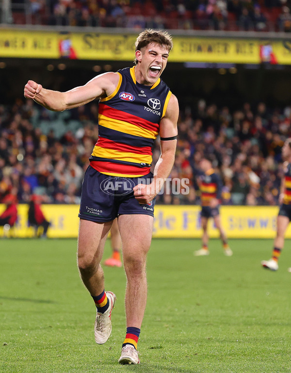 AFL 2024 Round 16 - Adelaide v GWS - A-51463976