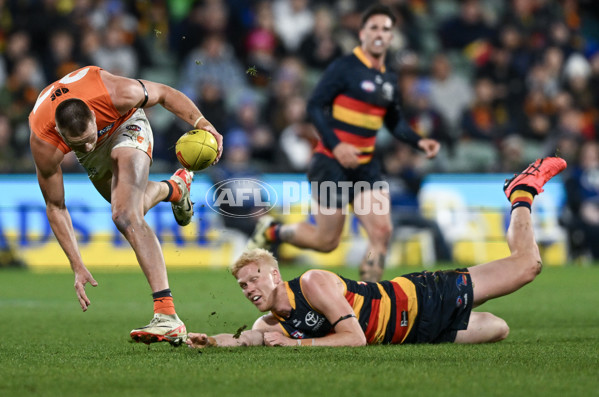 AFL 2024 Round 16 - Adelaide v GWS - A-51463980