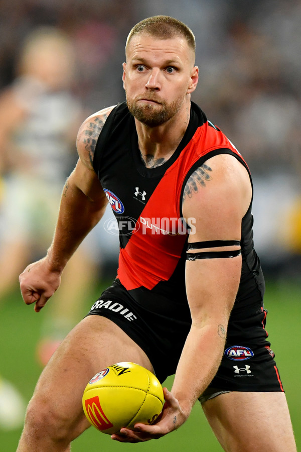 AFL 2024 Round 16 - Geelong v Essendon - A-51463983
