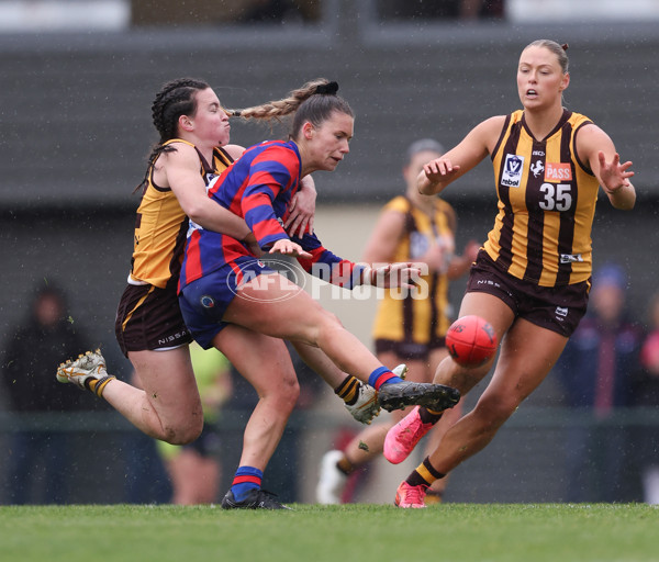 VFLW 2024 First Elimination Final - Box Hill v Port Melbourne - A-51463995