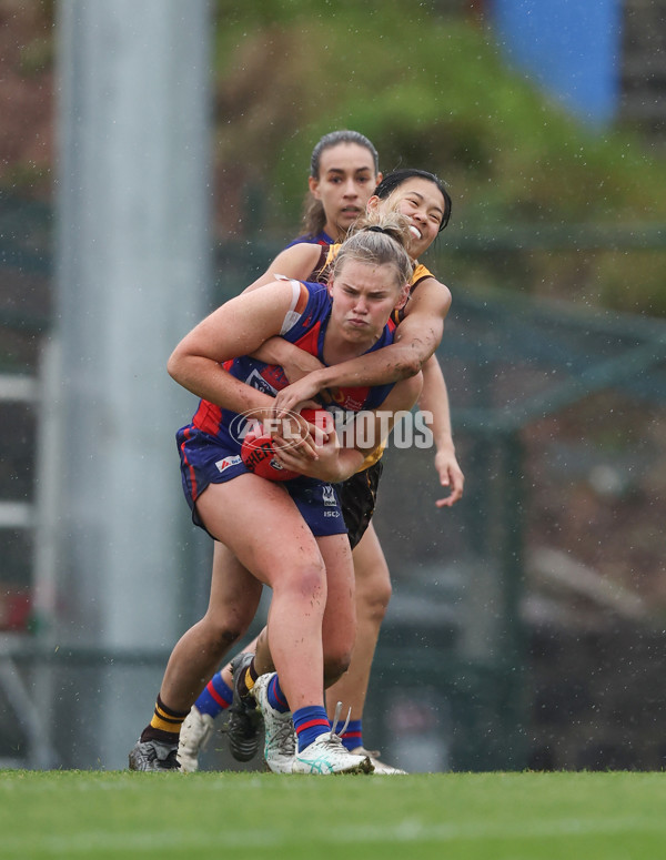 VFLW 2024 First Elimination Final - Box Hill v Port Melbourne - A-51463997