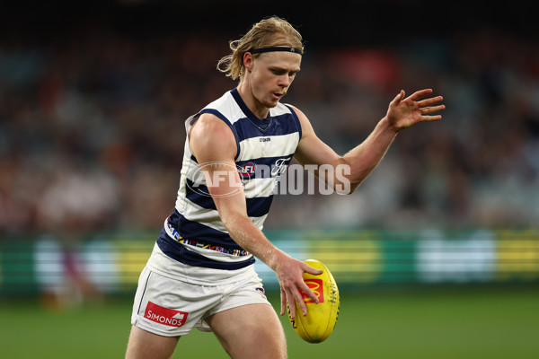 AFL 2024 Round 16 - Geelong v Essendon - A-51464040