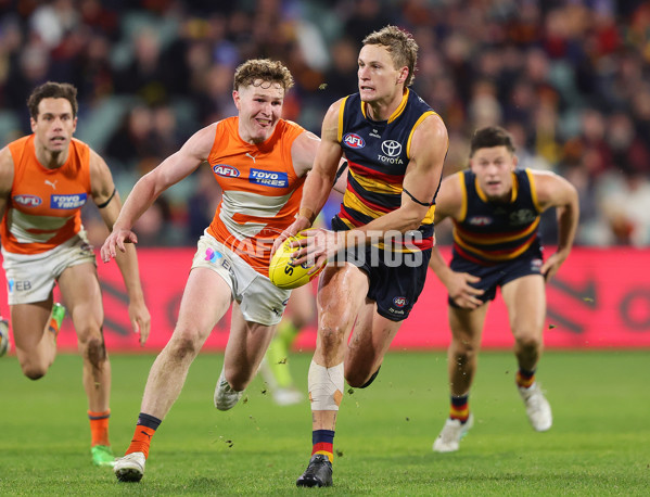 AFL 2024 Round 16 - Adelaide v GWS - A-51464259