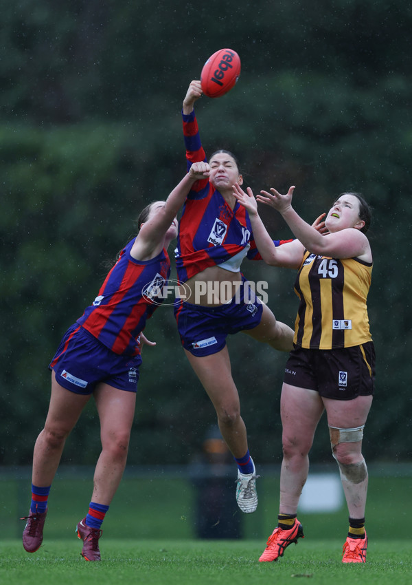 VFLW 2024 First Elimination Final - Box Hill v Port Melbourne - A-51464283