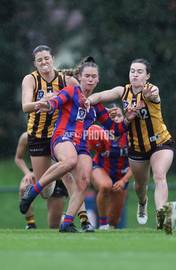 VFLW 2024 First Elimination Final - Box Hill v Port Melbourne - A-51466799