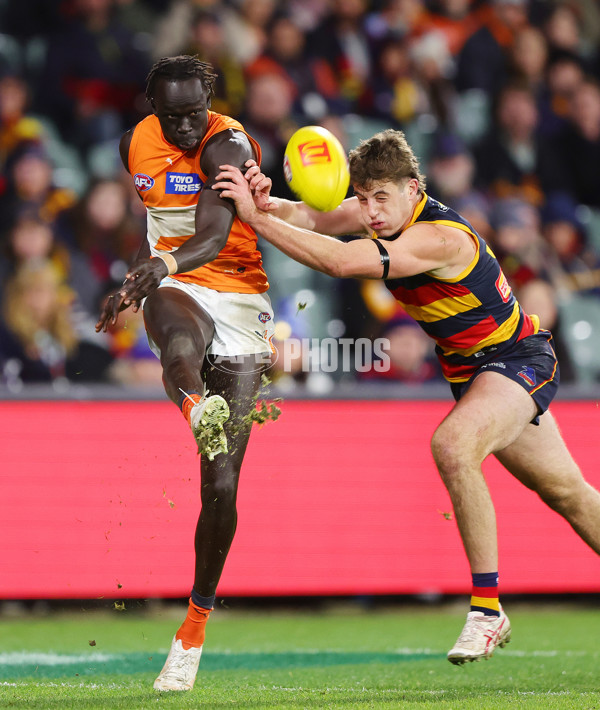 AFL 2024 Round 16 - Adelaide v GWS - A-51466816