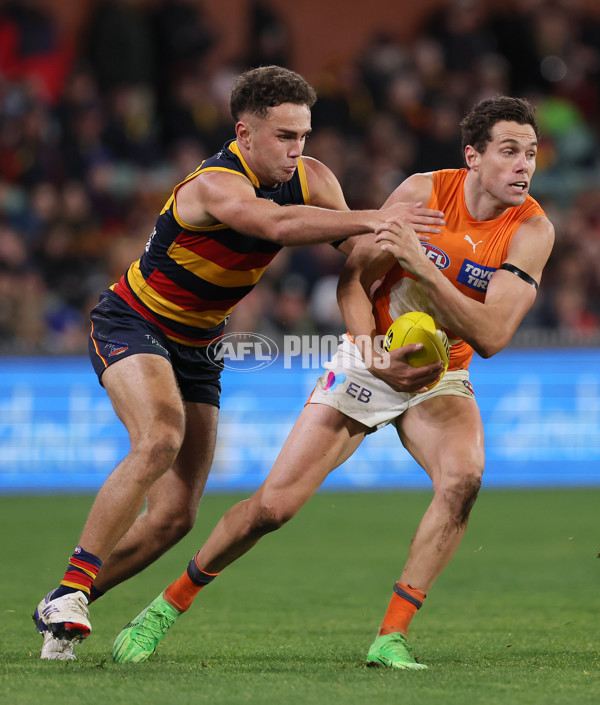 AFL 2024 Round 16 - Adelaide v GWS - A-51466832