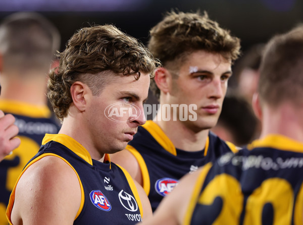 AFL 2024 Round 16 - Adelaide v GWS - A-51466847