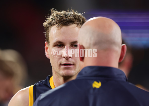 AFL 2024 Round 16 - Adelaide v GWS - A-51466848
