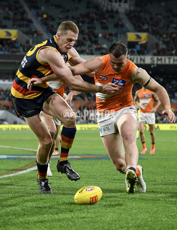 AFL 2024 Round 16 - Adelaide v GWS - A-51466871