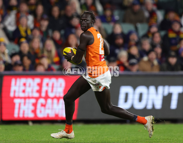 AFL 2024 Round 16 - Adelaide v GWS - A-51467004