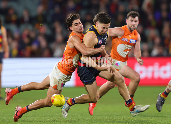 AFL 2024 Round 16 - Adelaide v GWS - A-51467021
