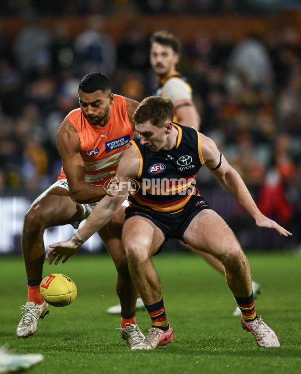 AFL 2024 Round 16 - Adelaide v GWS - A-51469314